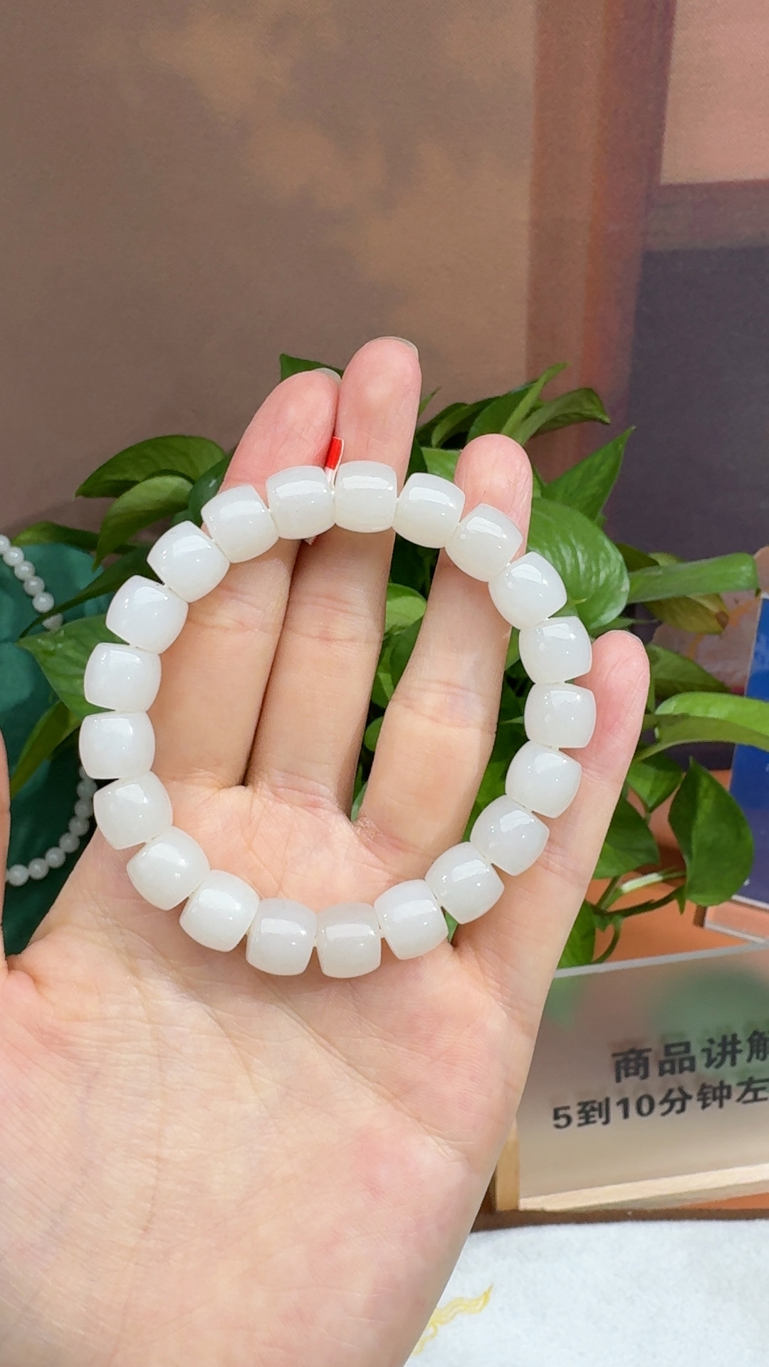 纯天然和田玉新疆黑山羊脂玉10