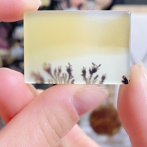 玛瑙/玉髓珠宝奇石未镶嵌