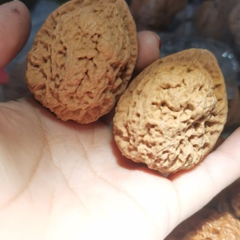 猴头核桃吊坠?*世43金蟾