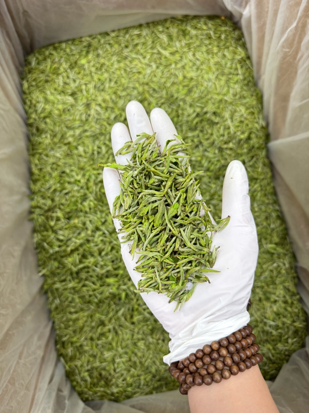 『2025新茶』小芽头花香毛峰A600峨眉山毛峰