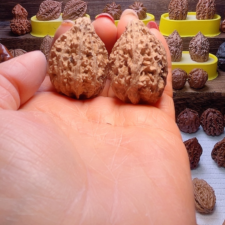 核桃5号车放漏漏漏