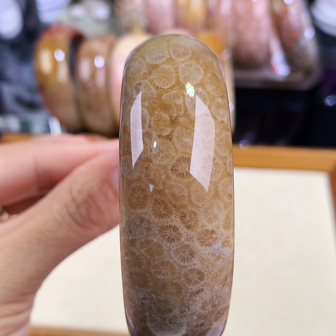 硅化珊瑚（珊瑚玉）未镶嵌吊坠(赠链)15号58圈口