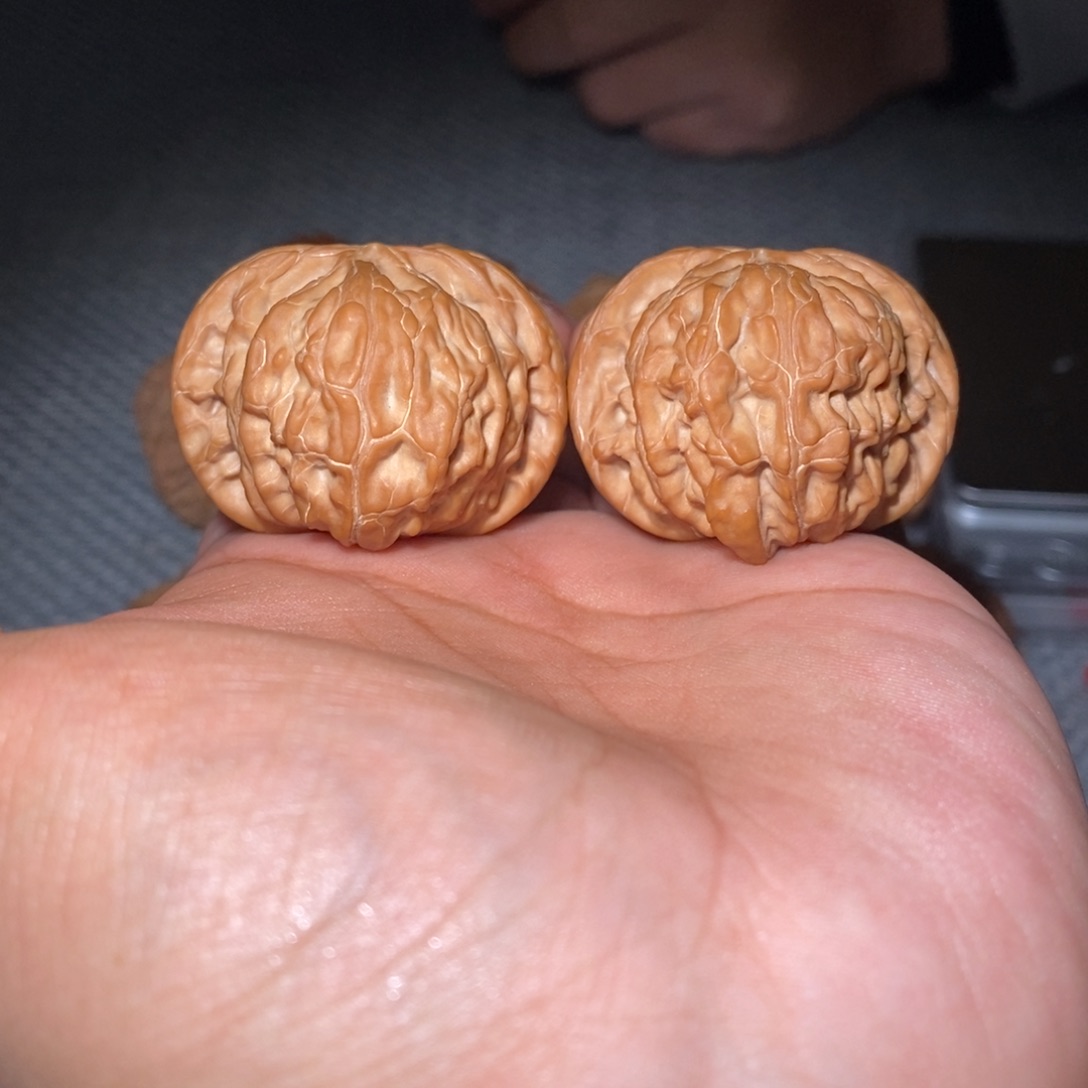 41尺正磨。       