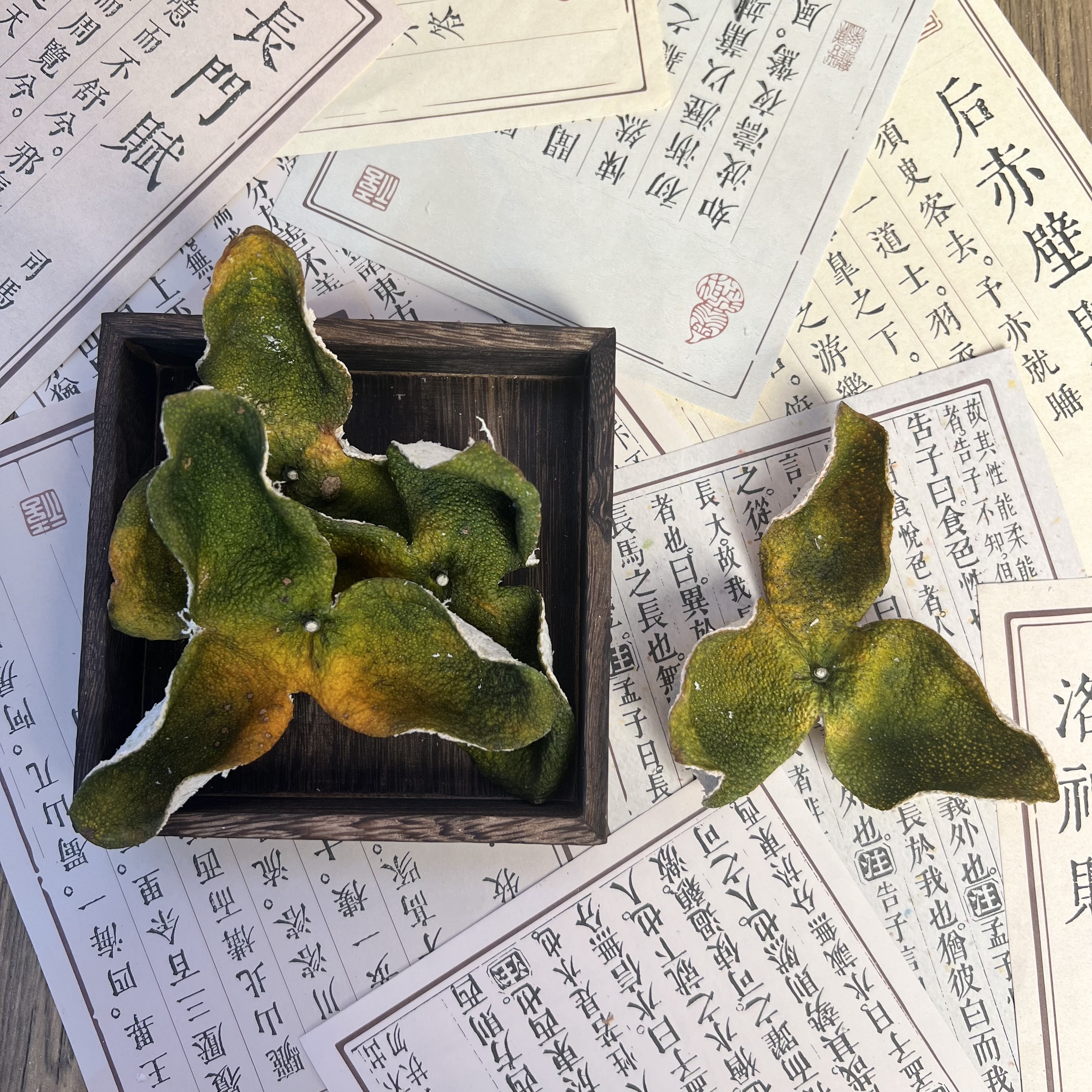 【新会首批】2025东甲原枝花青皮【兰花香、花蜜香】-干仓正宗新会陈皮