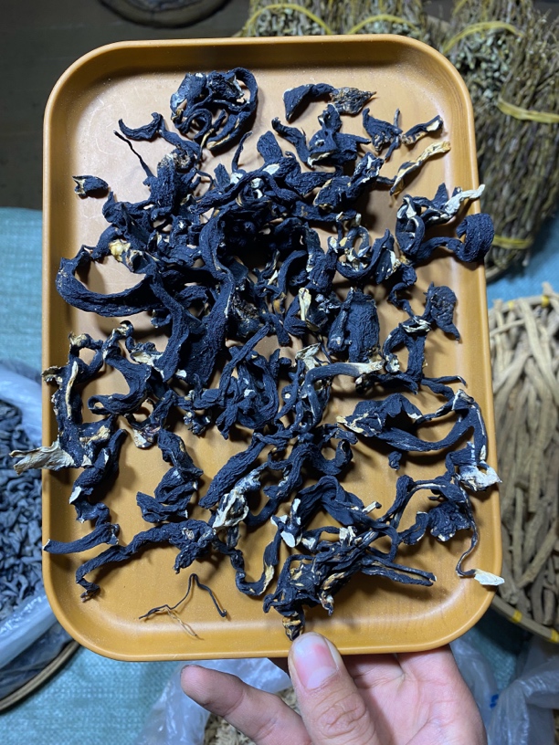 云南土特产农副产品 —【乌～香菇】非香菇（忽略）