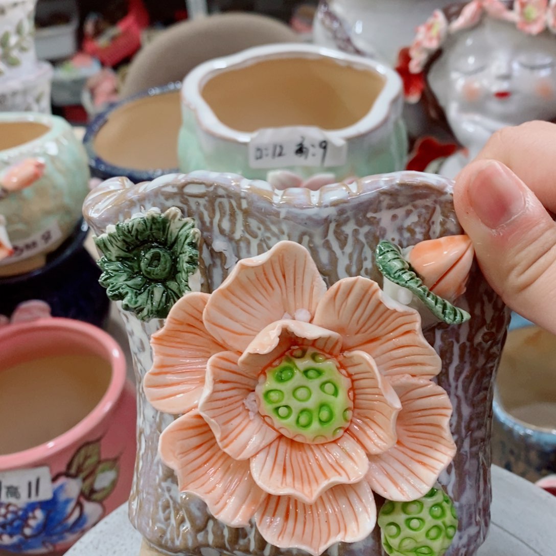 红陶福利福利活动多多