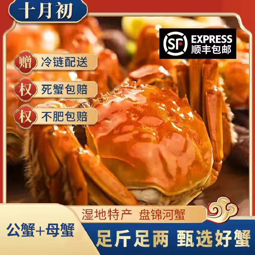 【活蟹】 盘锦河蟹 母蟹5/6只（2-1.7两/只）+公蟹5/6只（2-1.7两/只） 