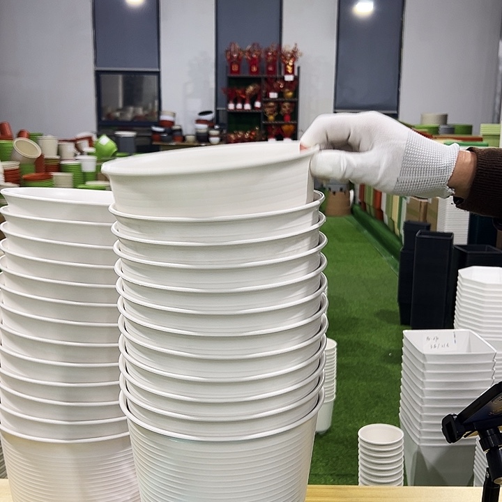 正品高陶口21高21白色6只无托