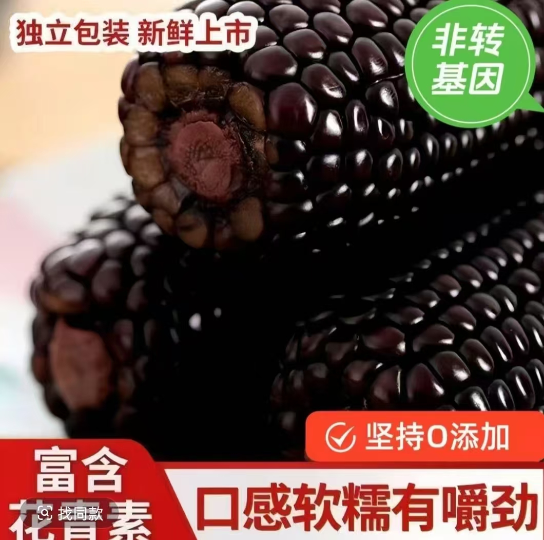 东北黑糯玉米精挑细选亦根亦段甜软糯香 到手十支