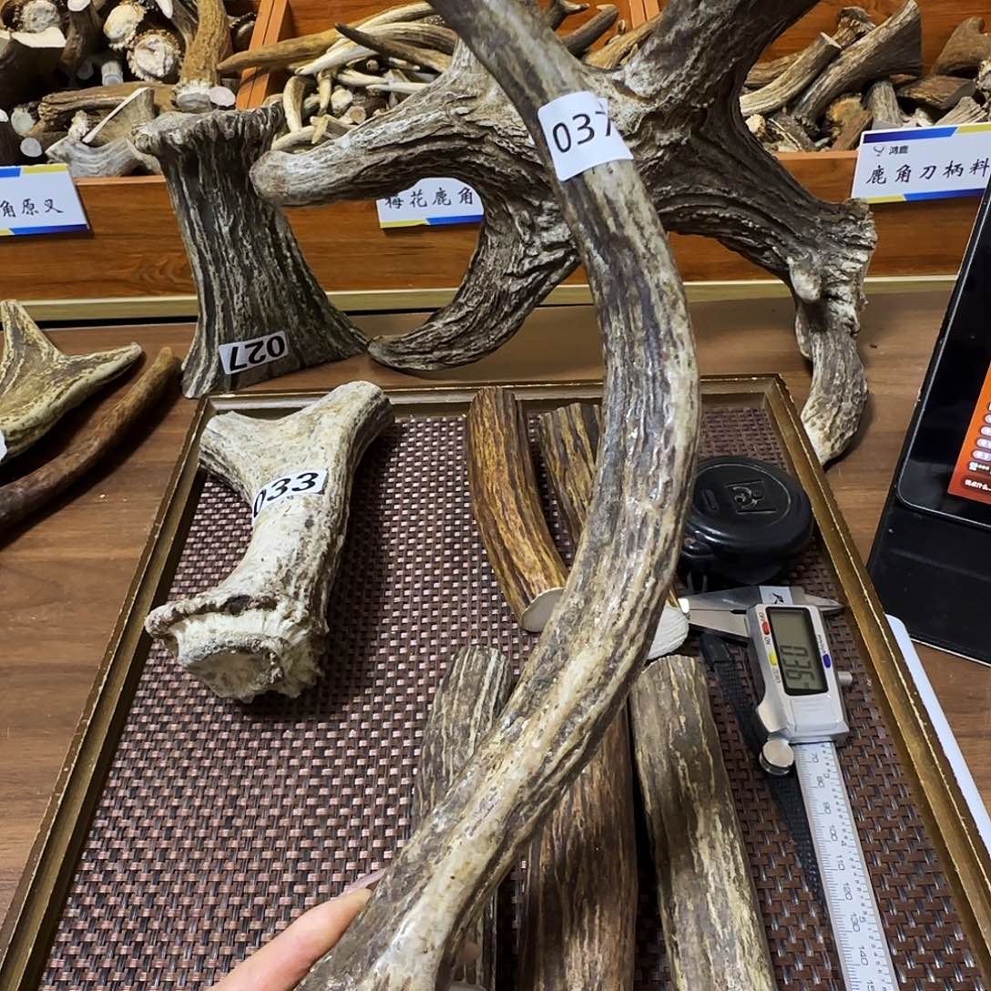 鹿骨手串/手链0374独角