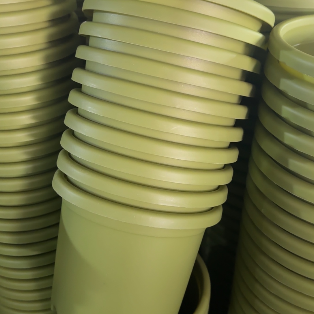 树脂特价3#无拖果绿10个