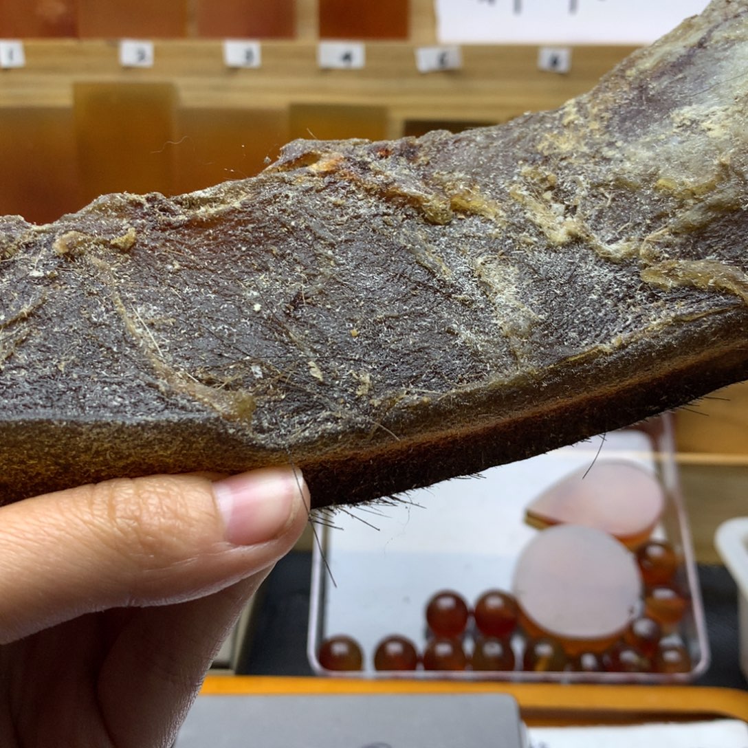 勿***心香榧木原料5556666666666