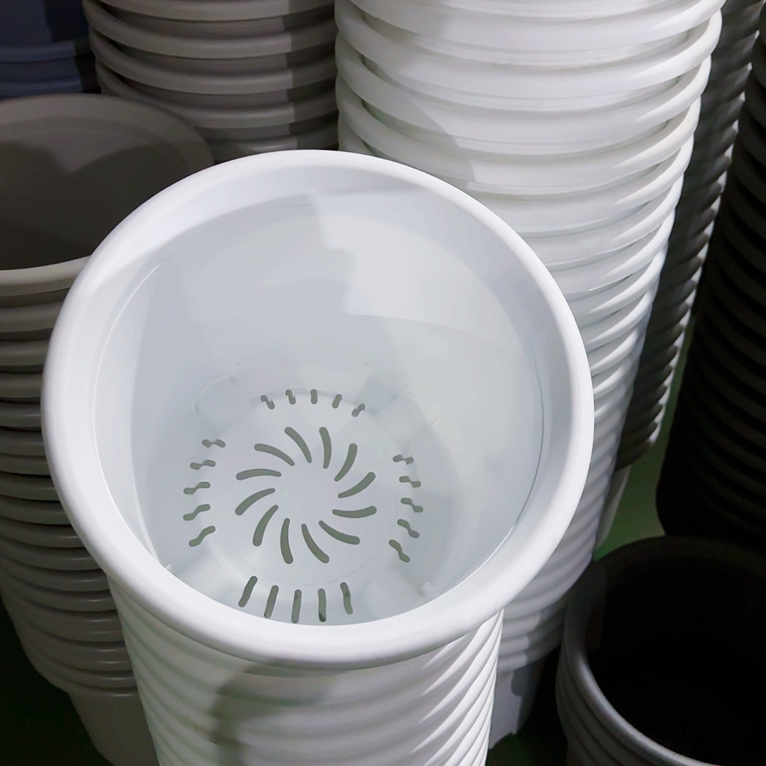 树脂四季6号5个白色的