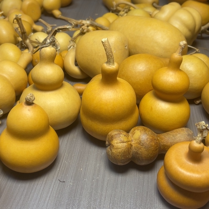 轴***子健健康康快快乐乐