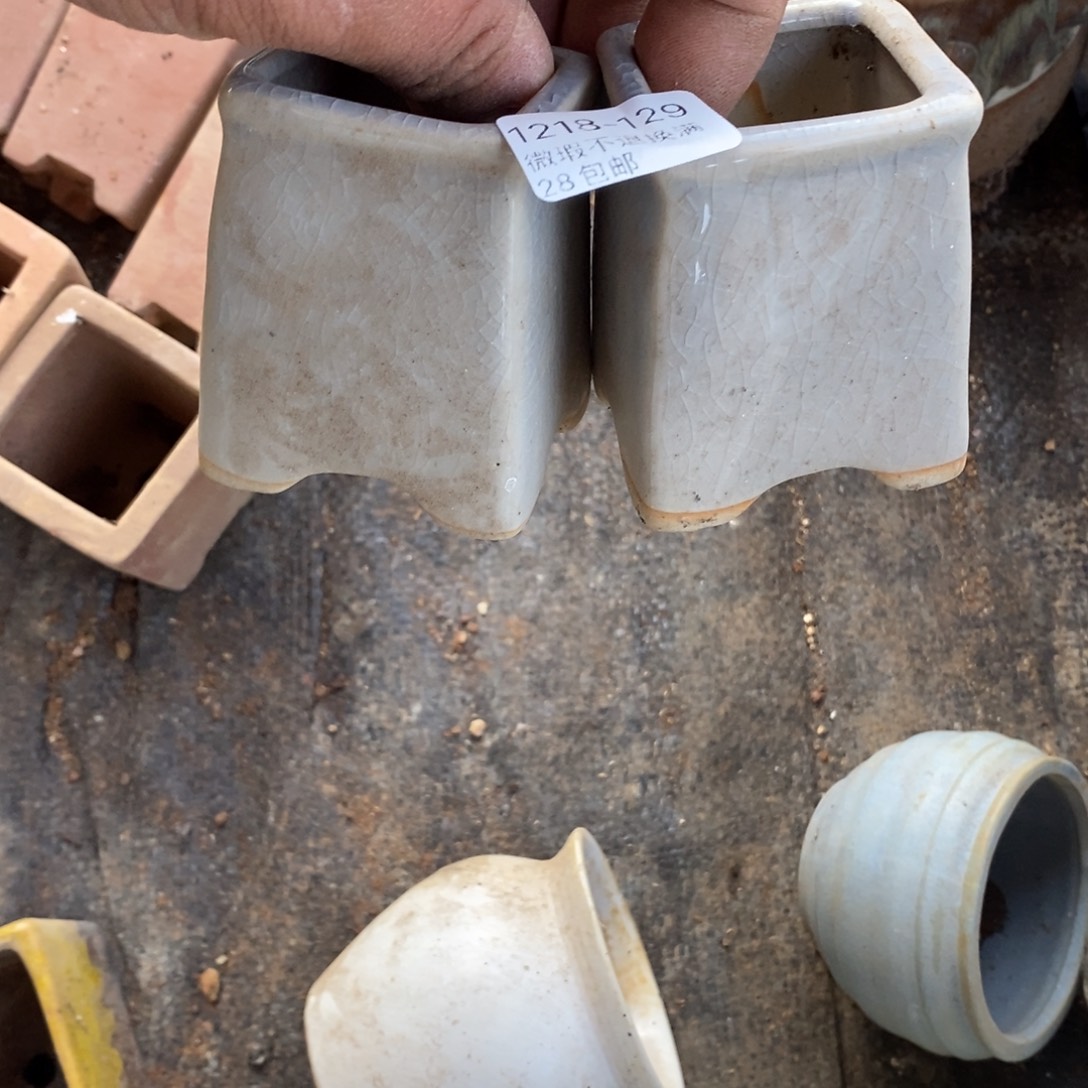 浓***啡129号花盆2个花盆福利啦啦