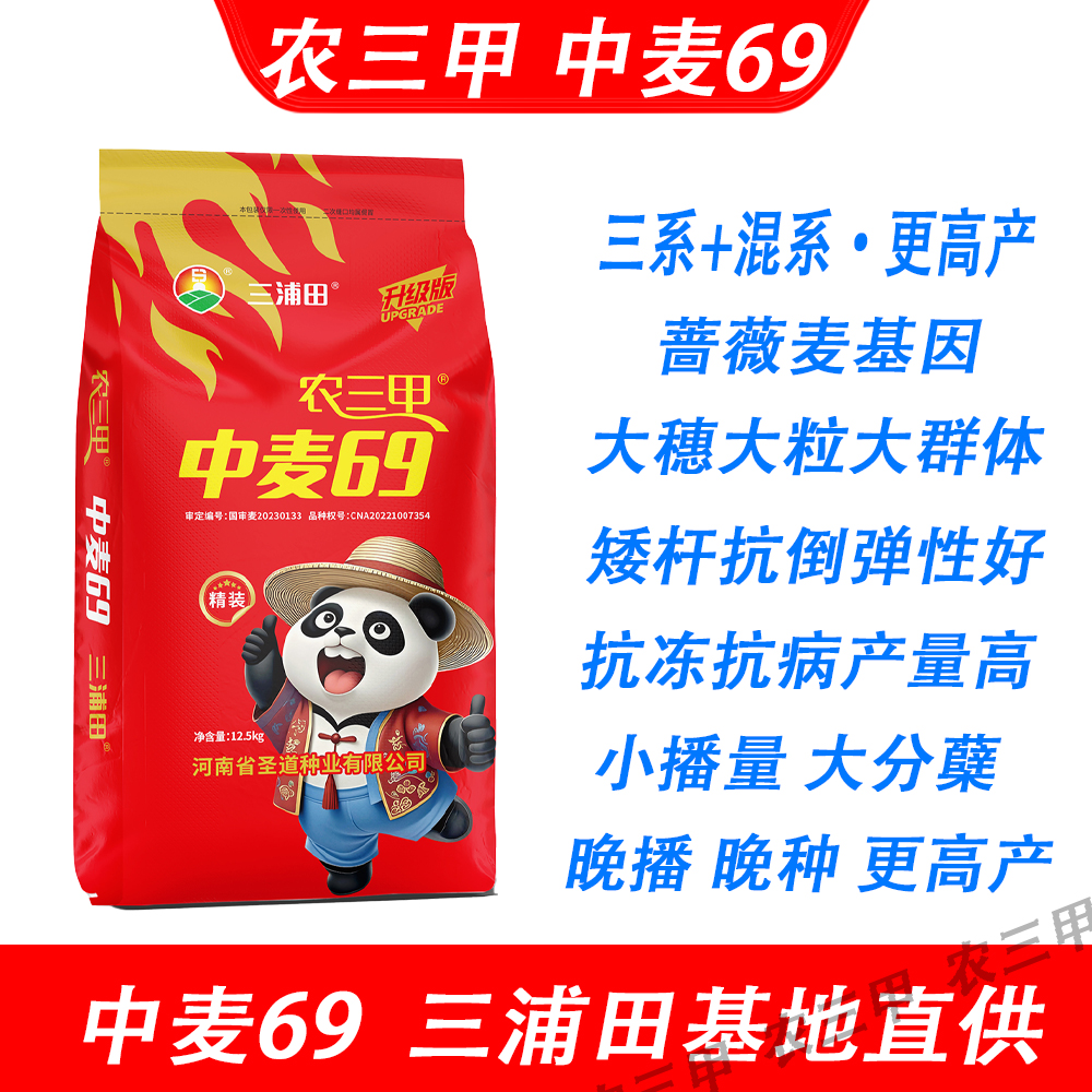 国审中麦69(农三甲)国审矮杆大穗超抗倒伏挑战高产1800耐旱品种