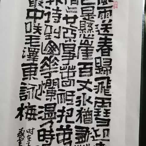 书法咏梅一首。。。。。