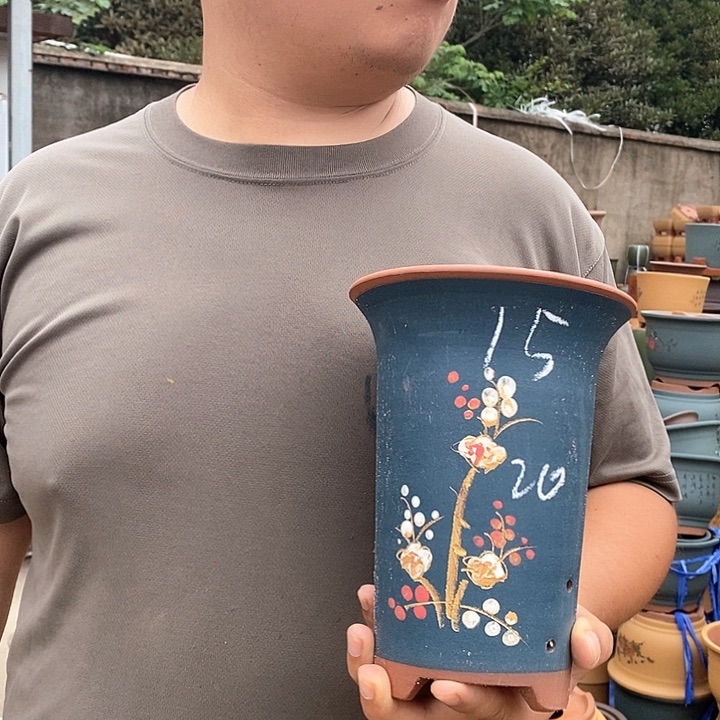 紫砂花盆盆栽花卉种植