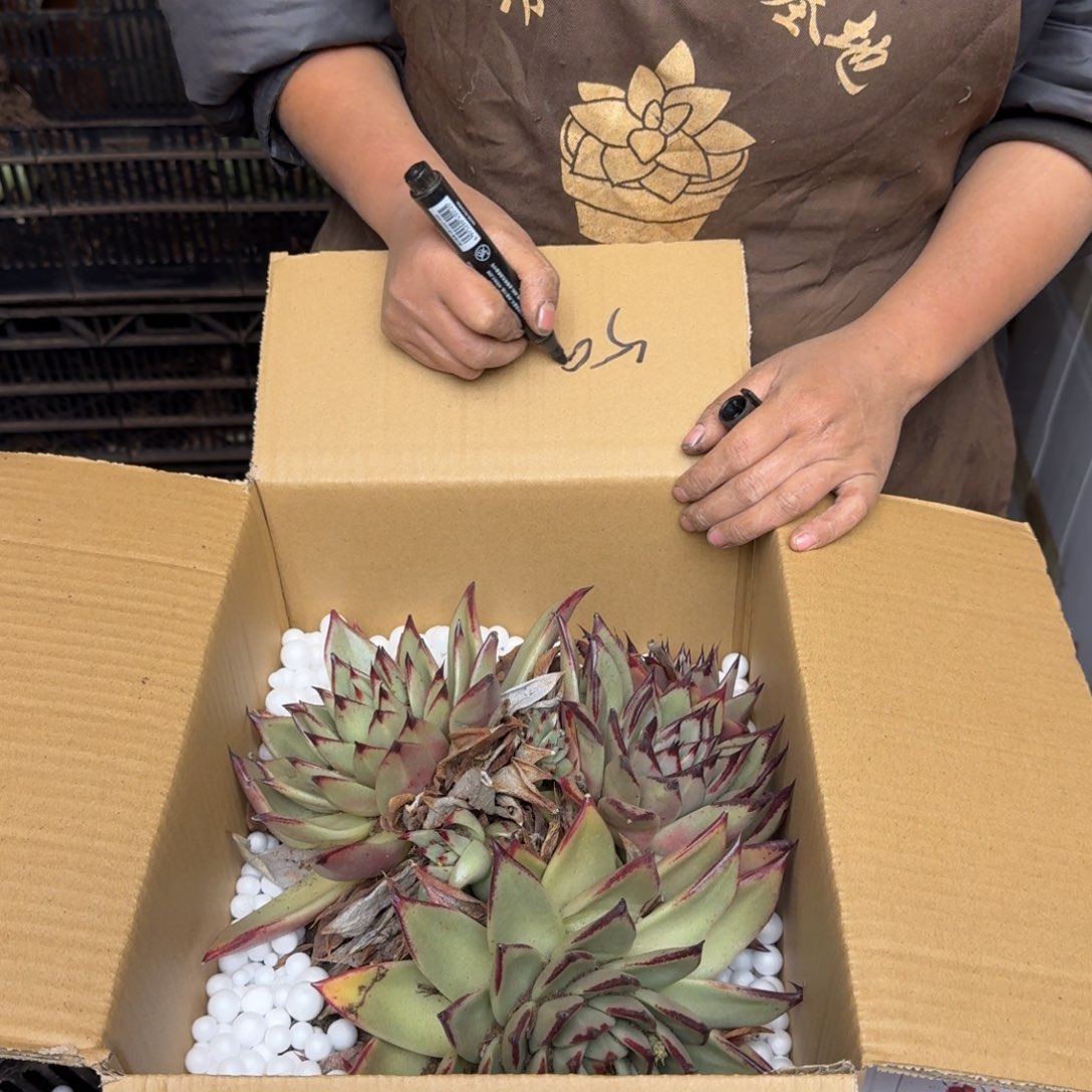 岳***华乌木 一颗 不包损5961