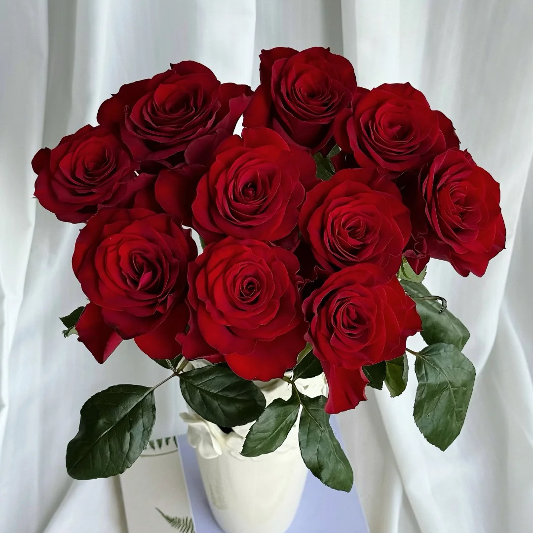 【高原红10支+尤加利叶1扎】全场鲜花任意满两单升级冷链快递送上门