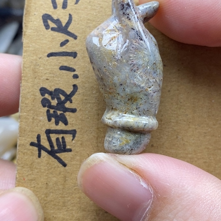 硅化珊瑚（珊瑚玉）未镶嵌颈饰