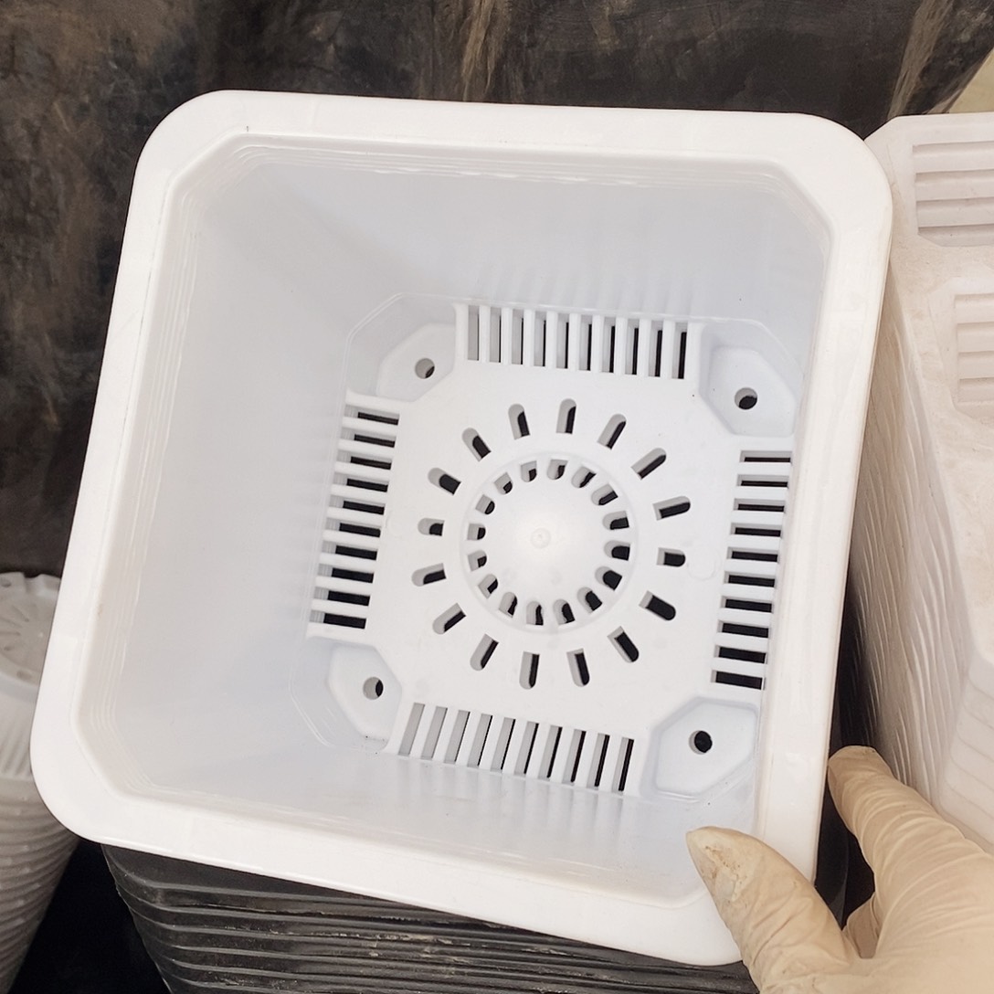 塑料新22公分白方盆5送一 