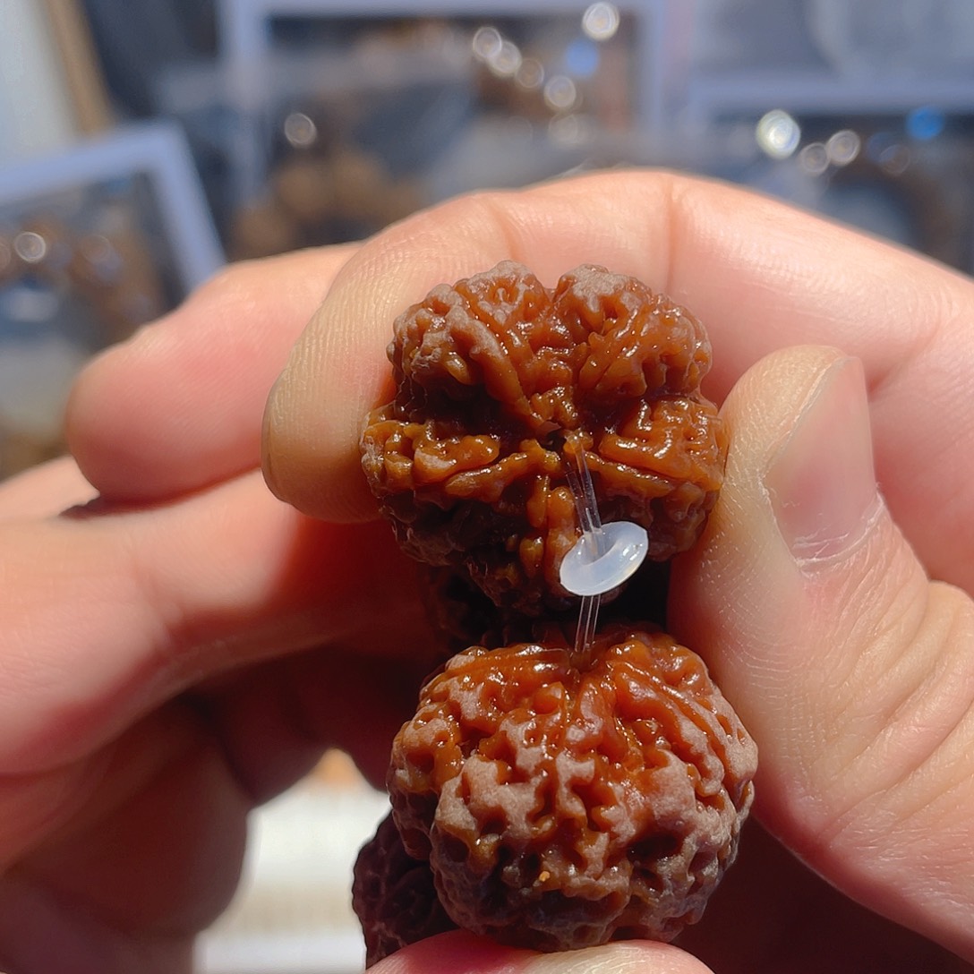 手串金刚菩提26mm铁骨梅花