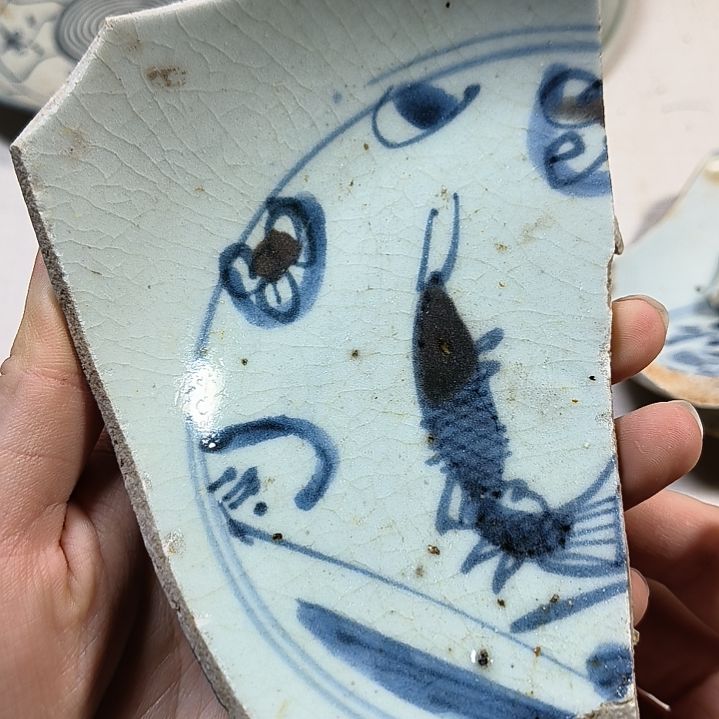 瓷片瓷片瓷片瓷片瓷片