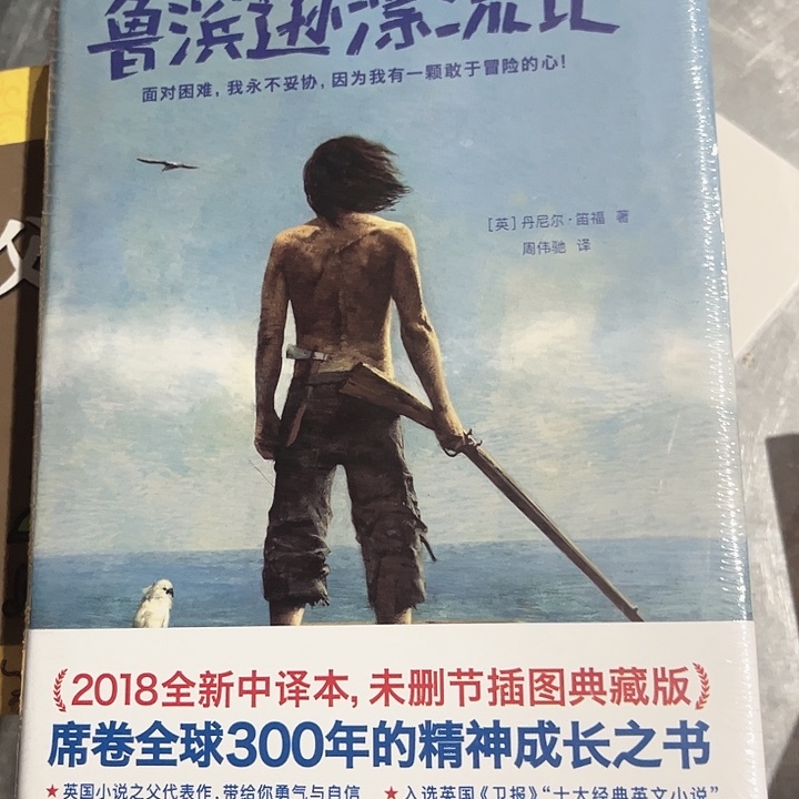 鲁滨逊漂流记全新