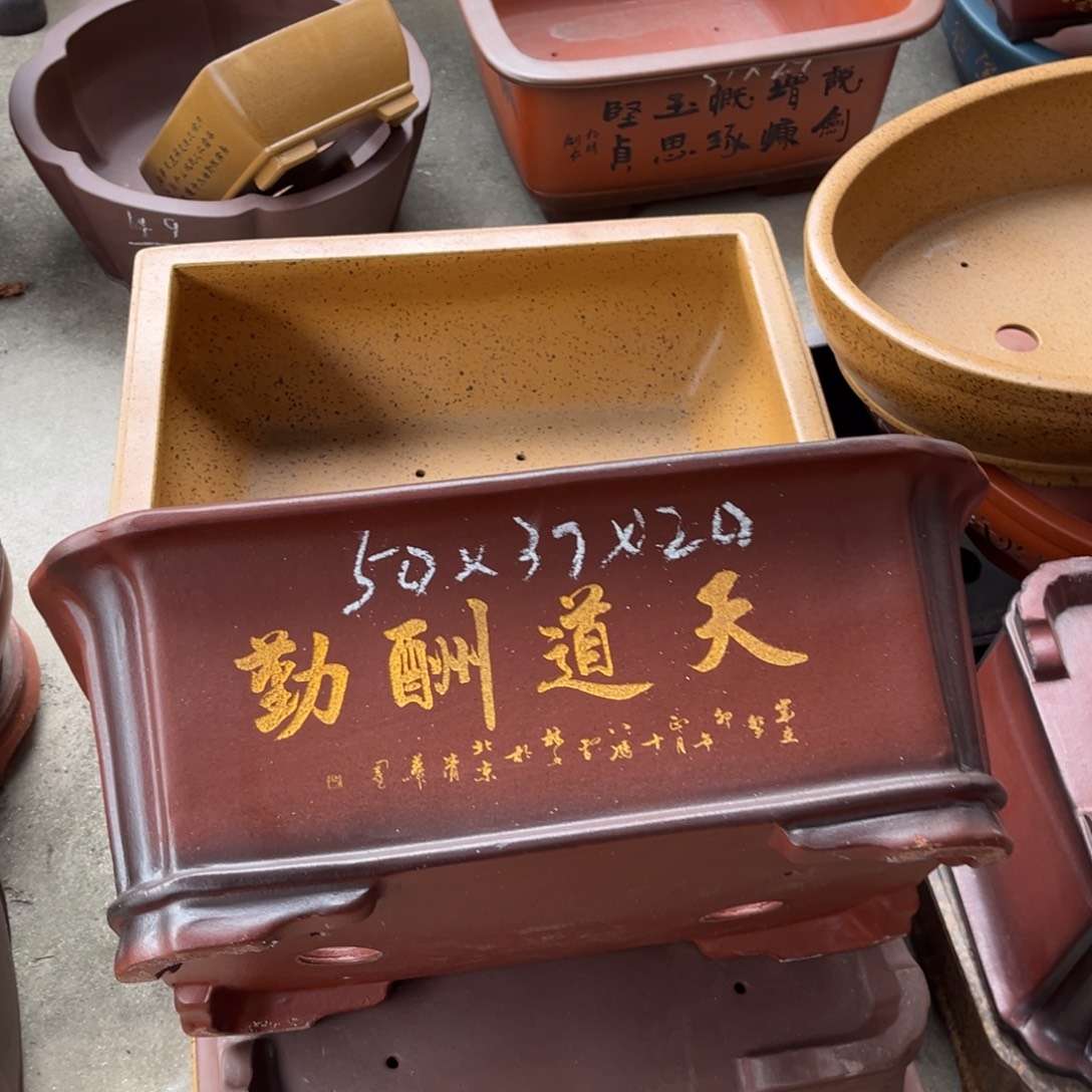 紫砂花盆盆景艺术