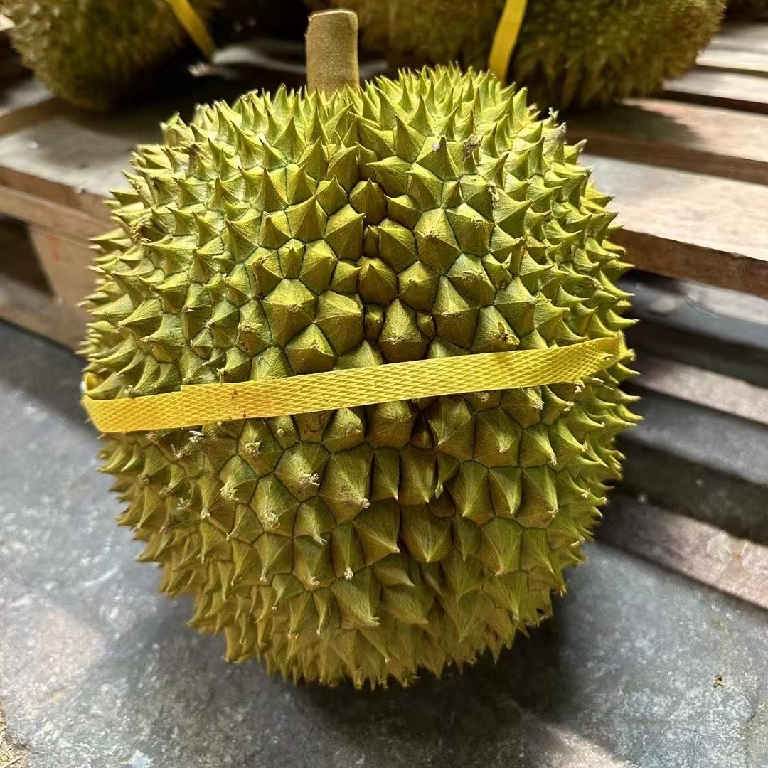 泰国金枕老树香甜软糯生切鲜果，新疆，内蒙，青海，西藏，黑龙江不发