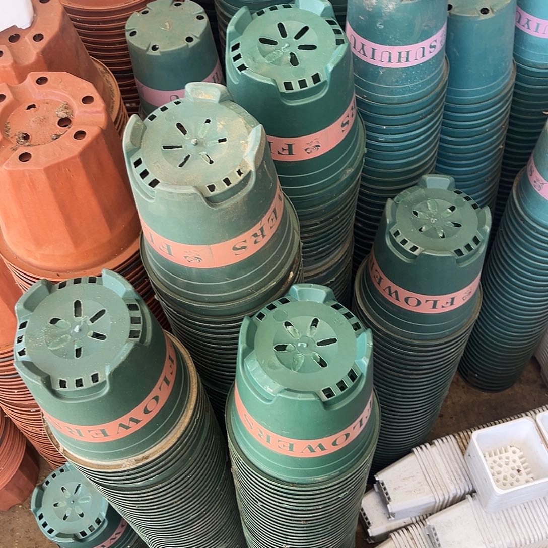 旧口径15高15绿加仑盆18个