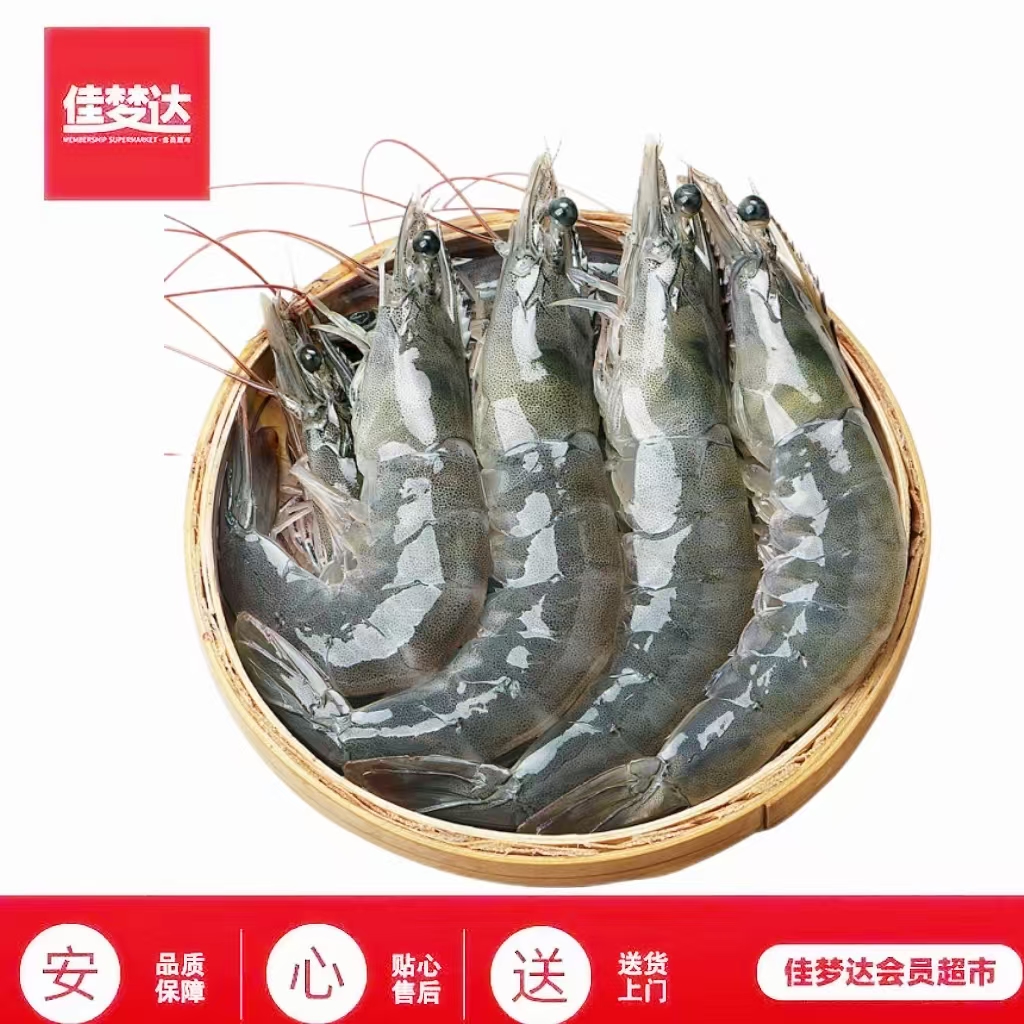 优选活虾约500g 保鲜不包活运输过程可能出现断氧介意慎拍