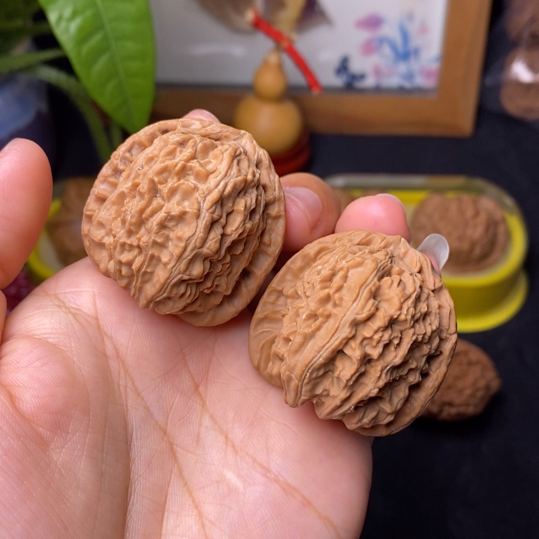 文玩核桃把件37-白狮子