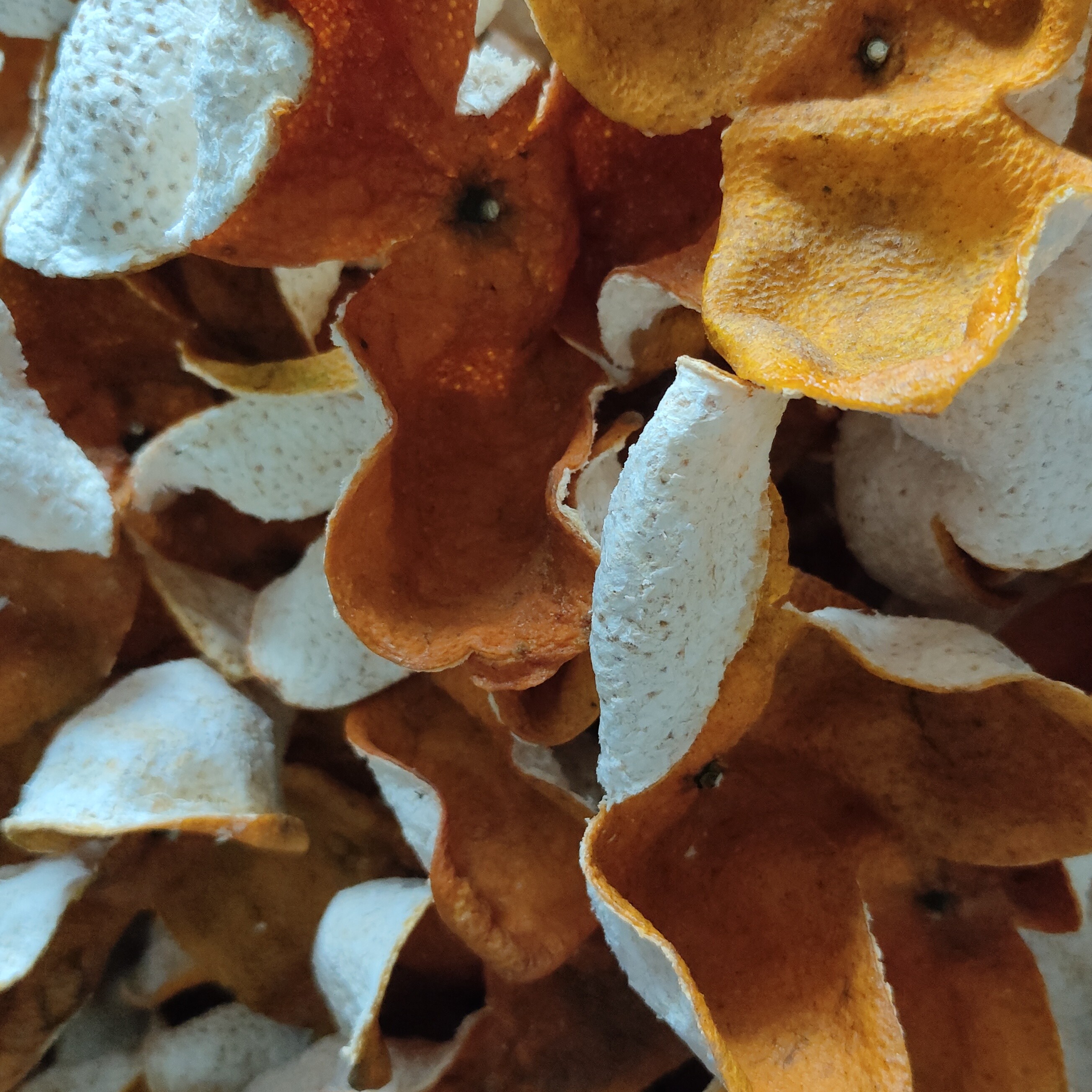 25年二红尾 50-70果广西自家果园陈皮干皮