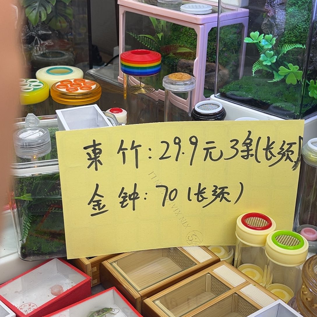 岁***人竹铃拼单哈哈哈哈哈