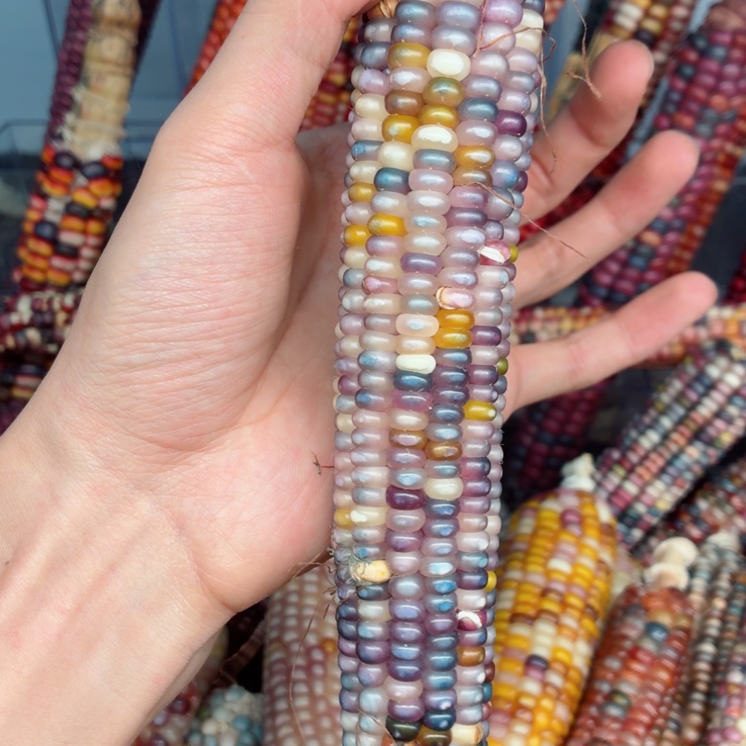 雅***娜白玉菩提吊坠文玩精品文玩精品