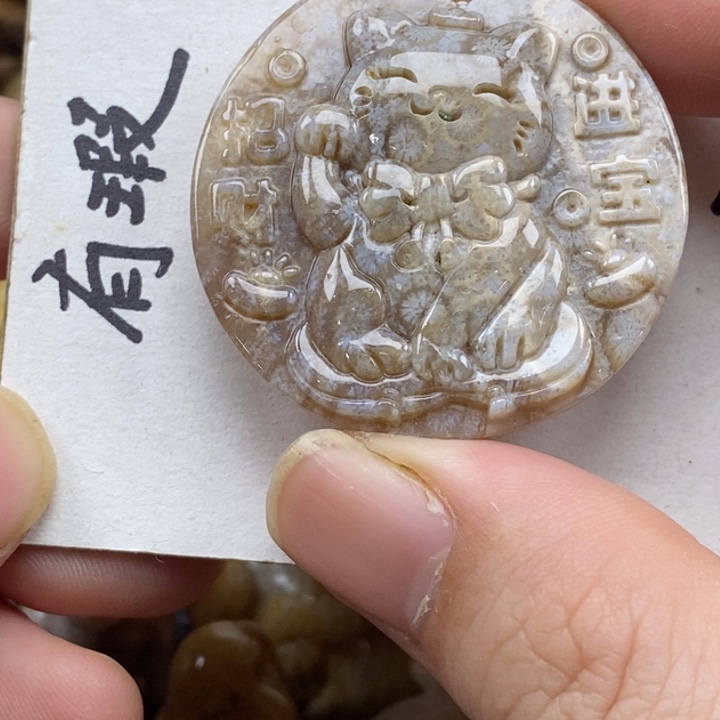 硅化珊瑚（珊瑚玉）未镶嵌颈饰