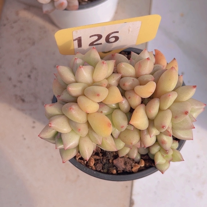 健健康康平平安安