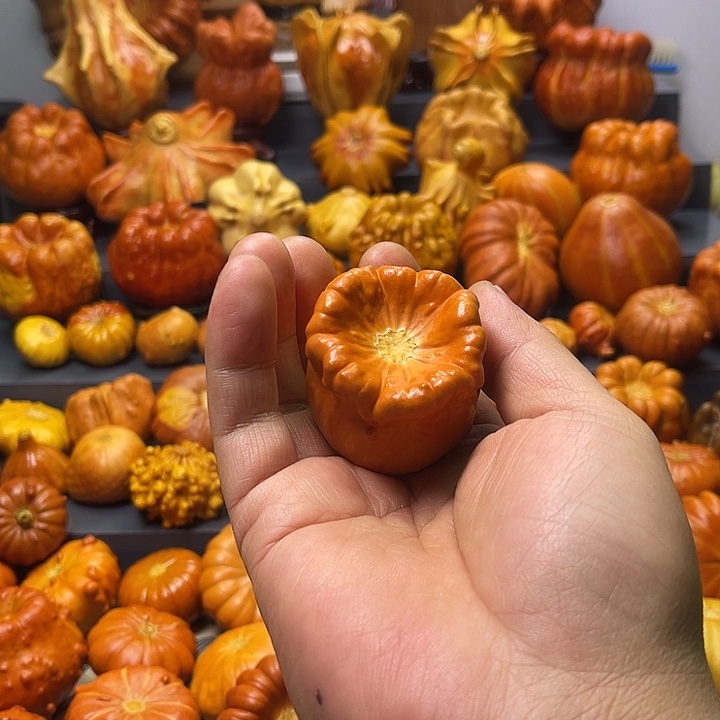 你***？大叶紫檀（黑酸枝木类）