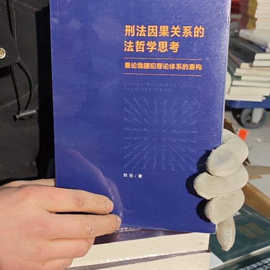 刑法因果关系的法则学思考