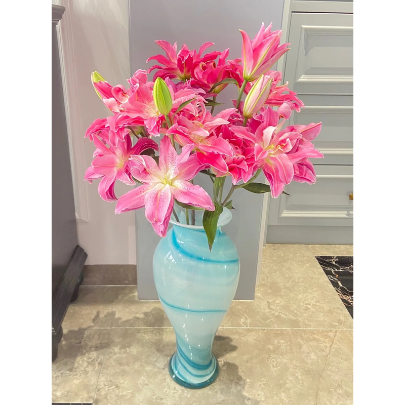 【紫莲花】重瓣百合 一单包邮 云南鲜花昆明基地现采现发