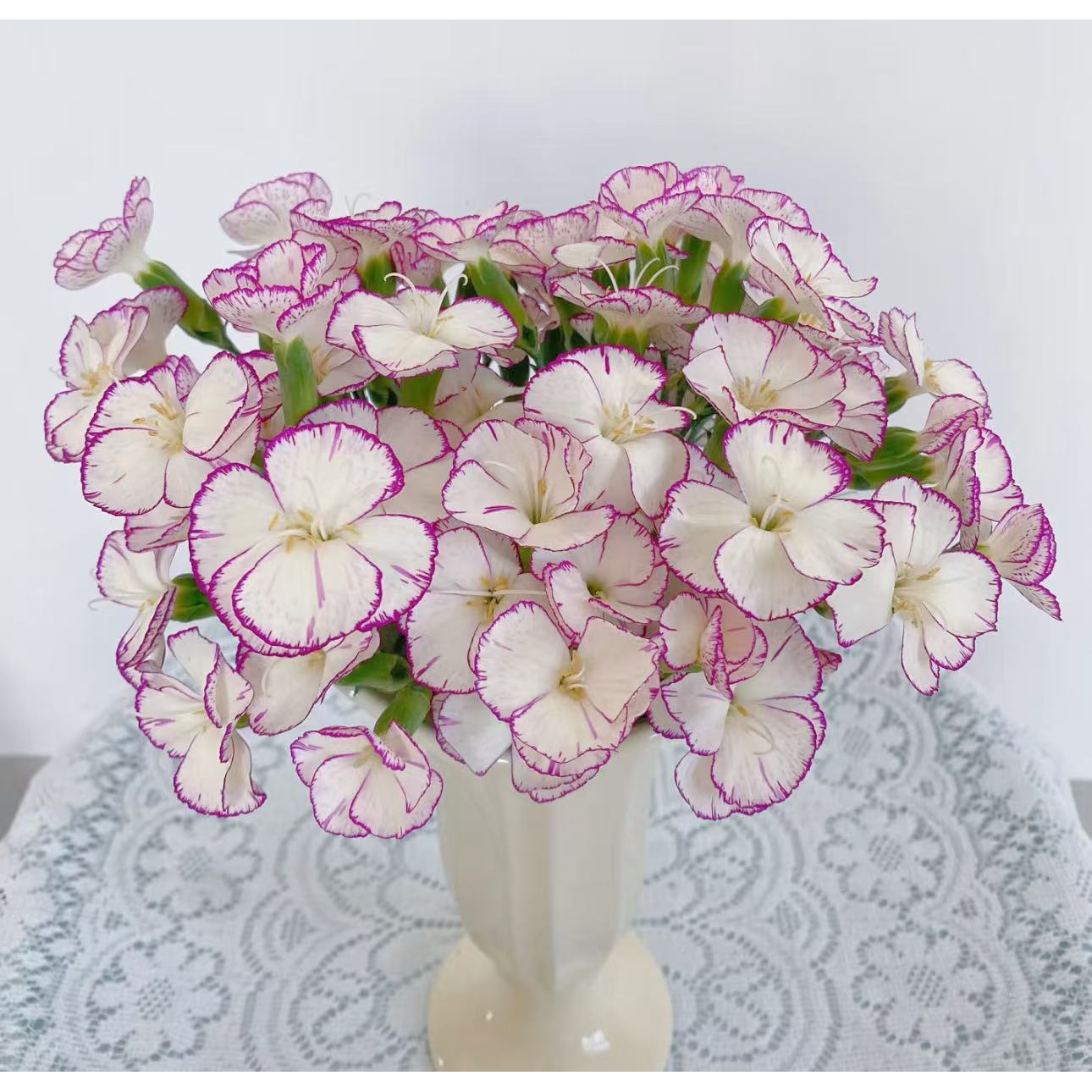 【缇娜娑罗蜜】云南优选鲜切花昆明基地直发家用插花节日