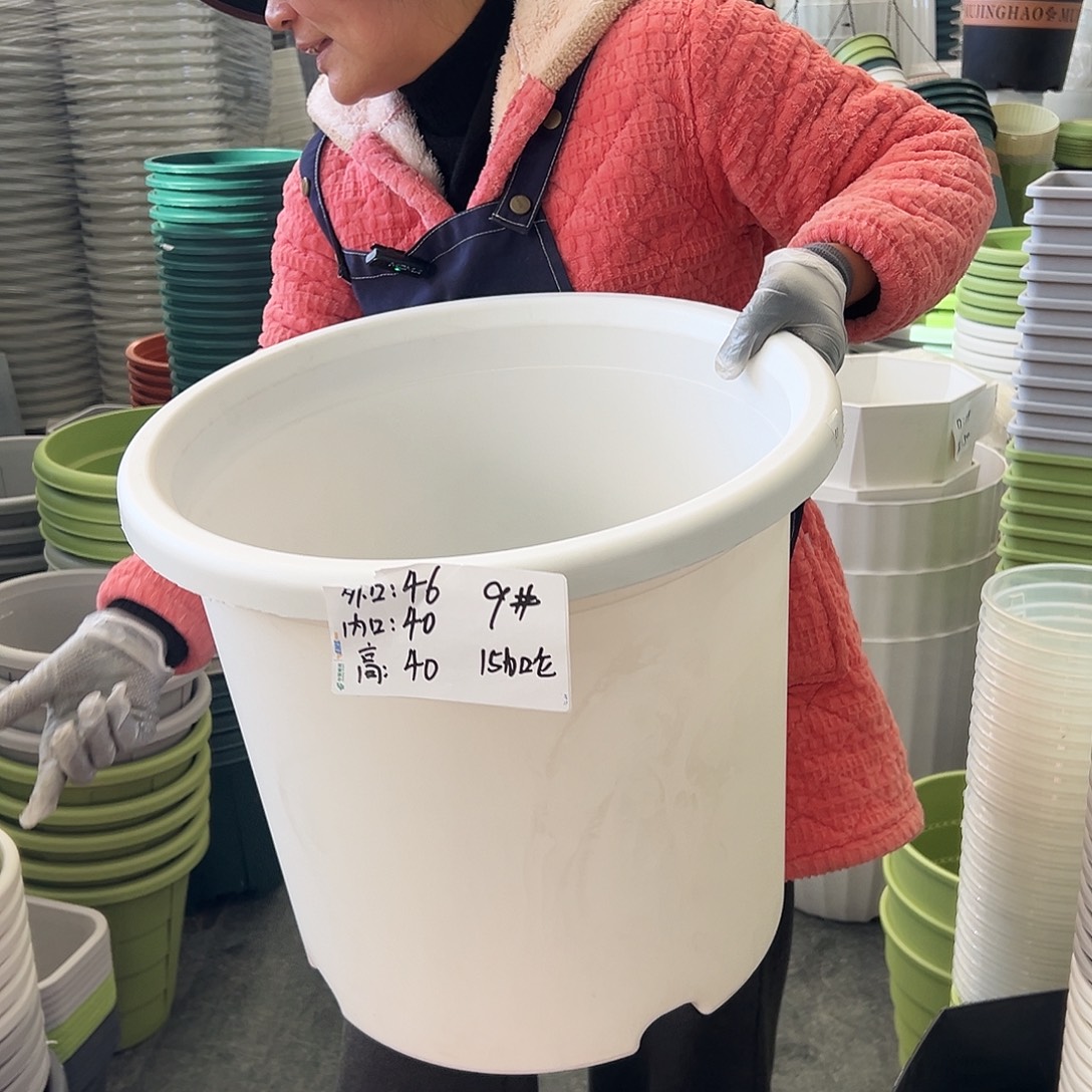 四季盆9#白色4个无托