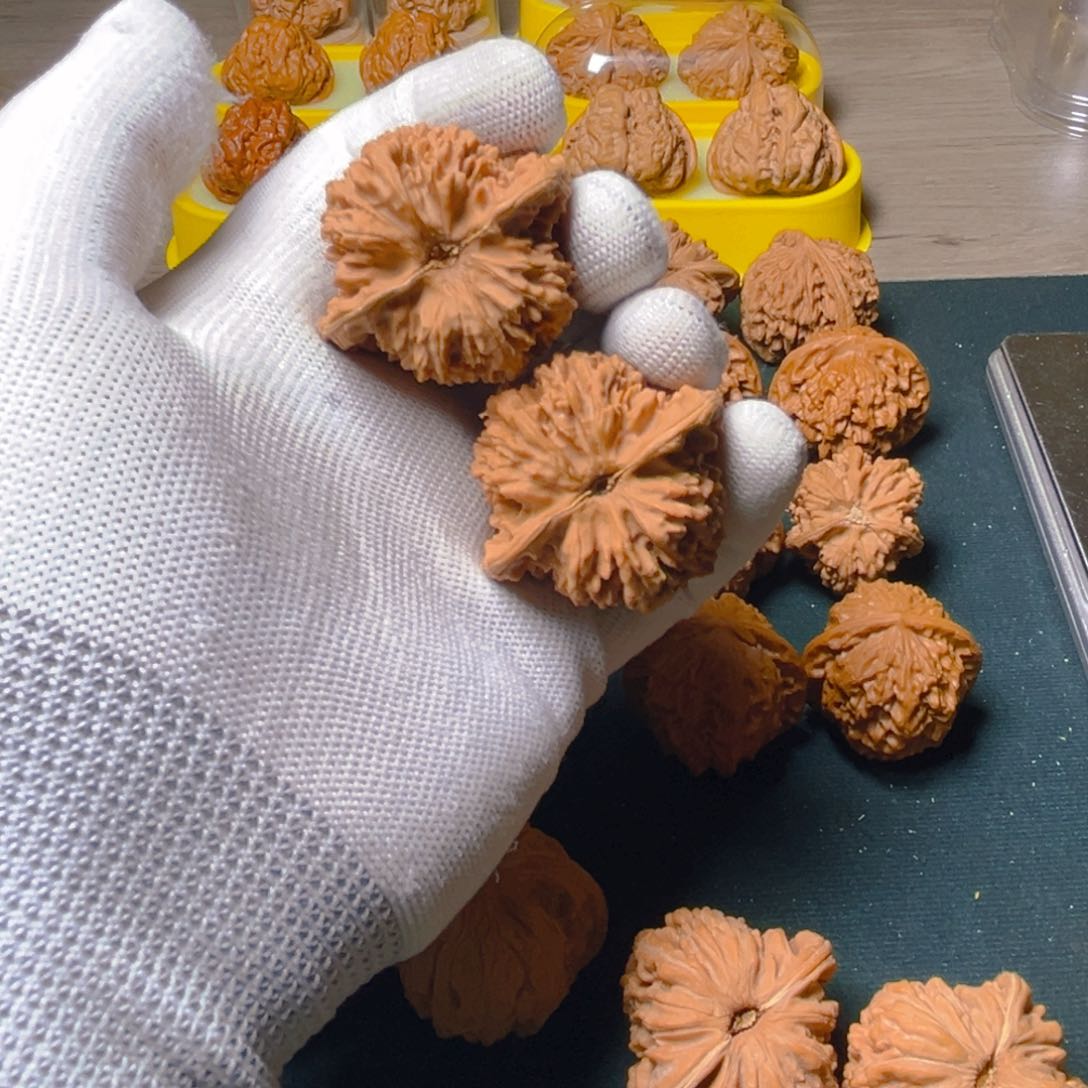 文玩核桃把件ঞ****满天星43