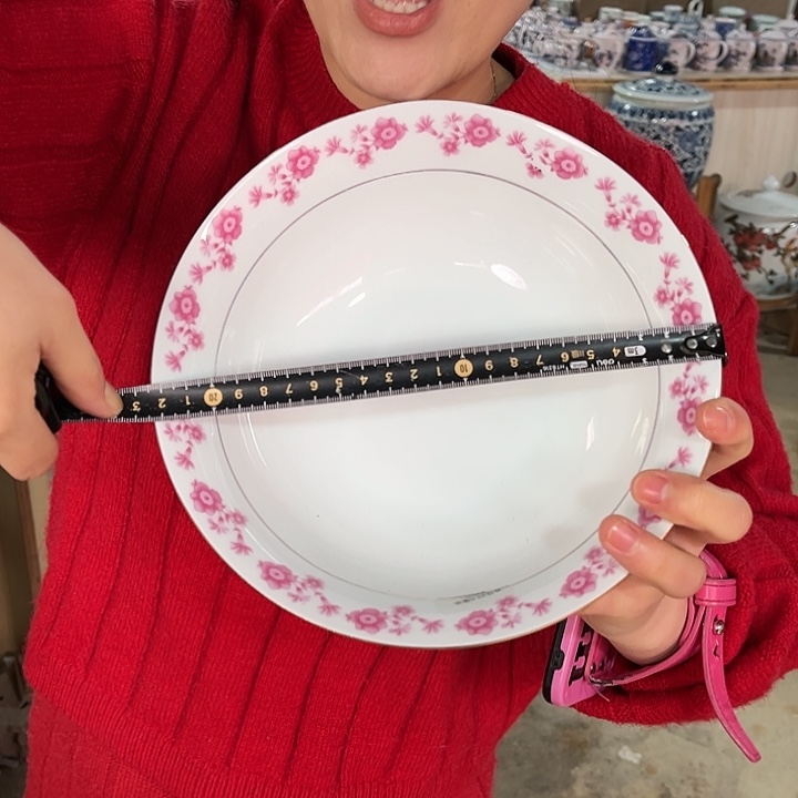 瓷片景德镇陶瓷汤碗。22.5厘米。