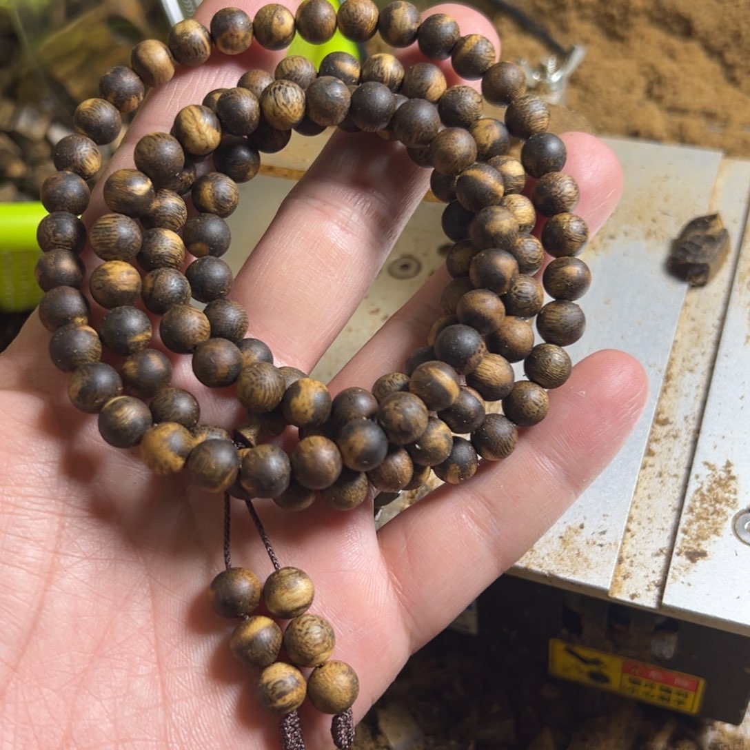 高油脂海南产区莺歌绿品种卡8多圈28.7克