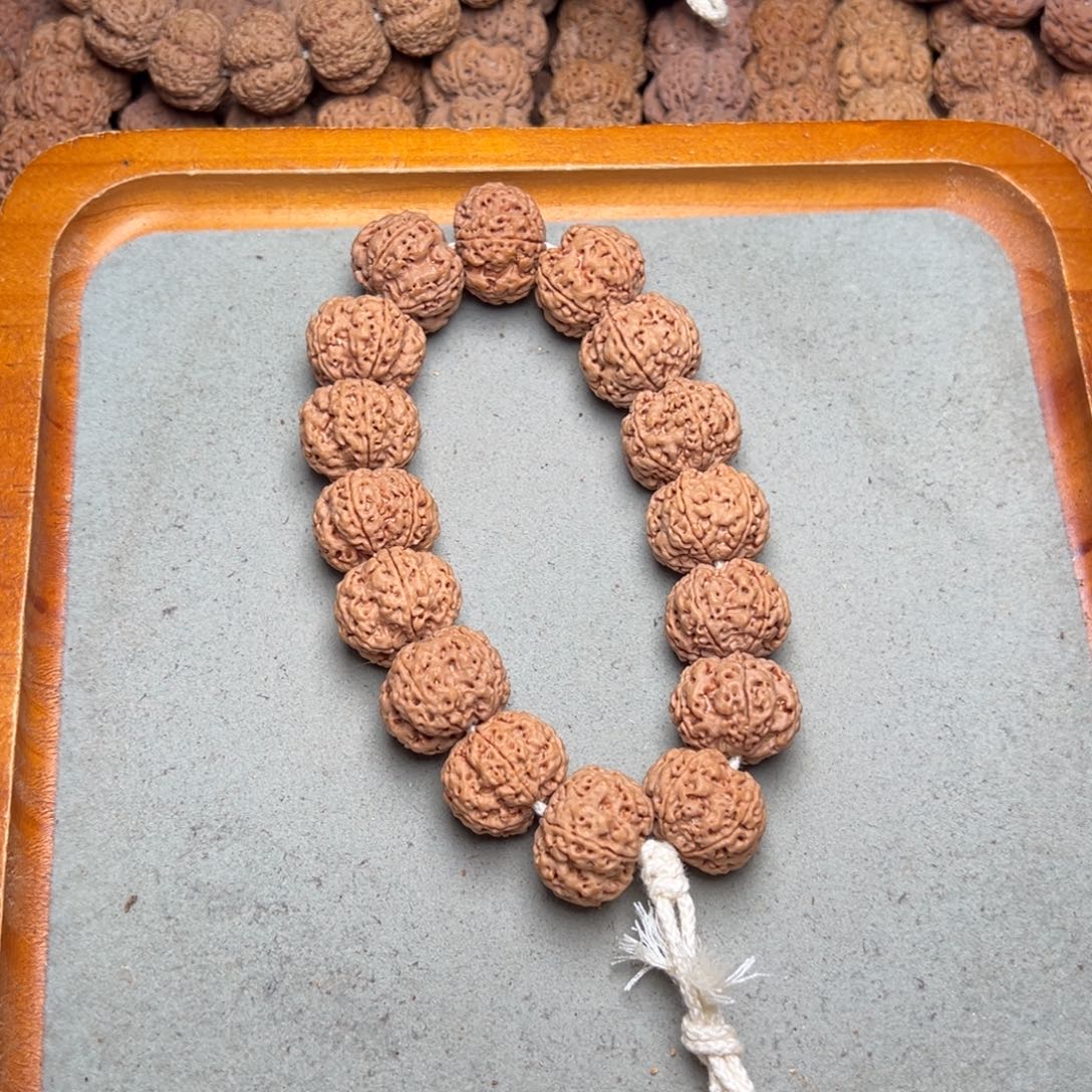 菩提15号金刚菩提梅花21