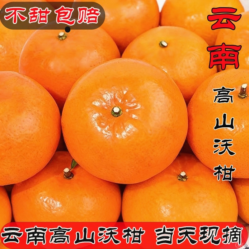 【鲜采现发】正宗沃柑产地新鲜采摘当季多汁爽口应季橘子纯甜水果c