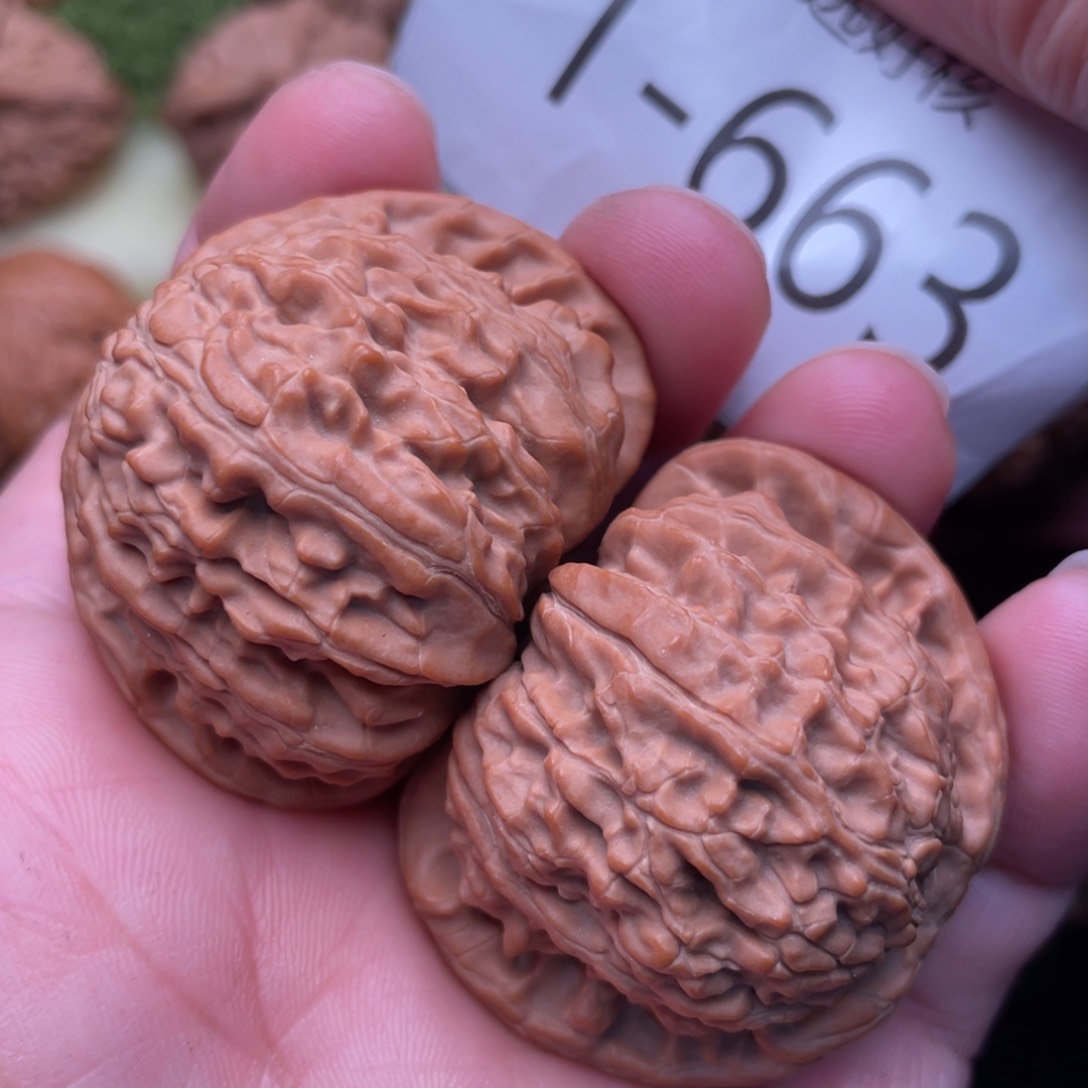 文玩核桃把件精配白狮子41